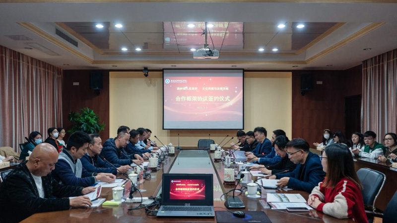 一拖二无线麦克风：拍摄利器背后的技术解析